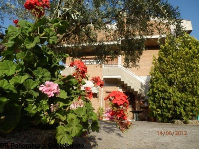 B&B Panorama 卡斯特布奥诺 外观 照片
