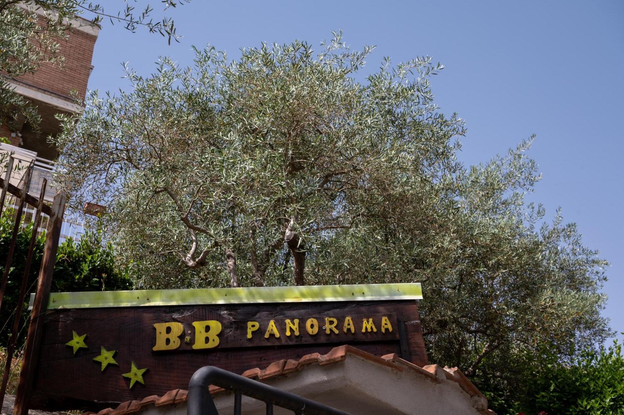 B&B Panorama 卡斯特布奥诺 外观 照片